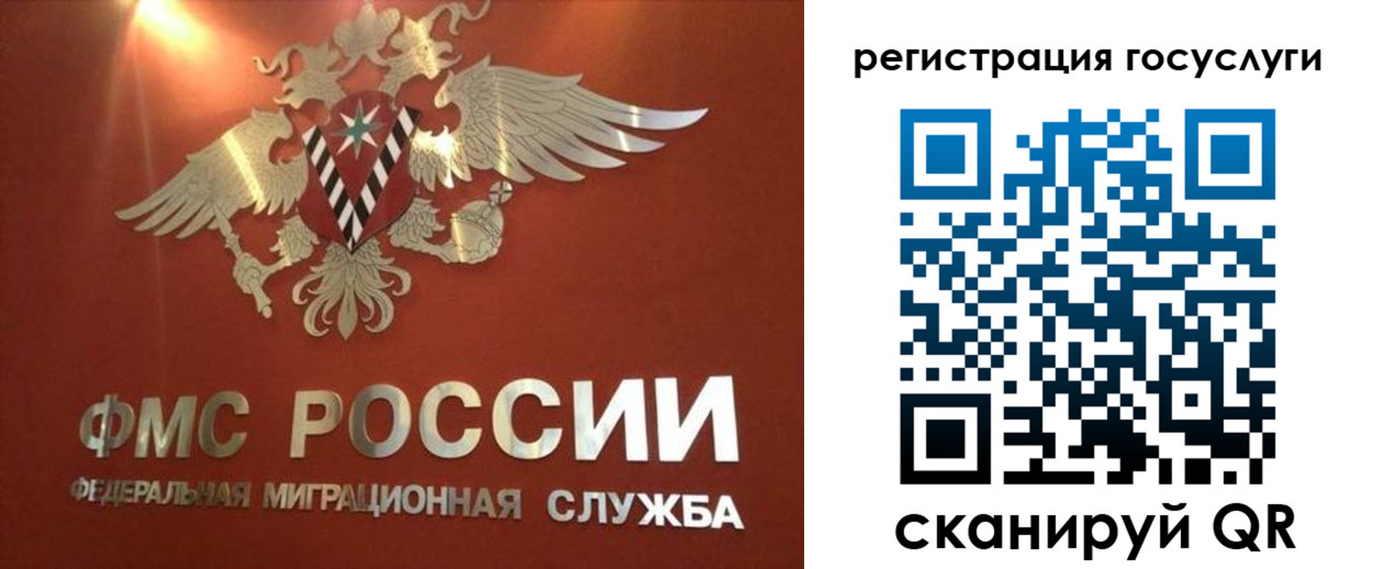 прописка ребенка в Светлом